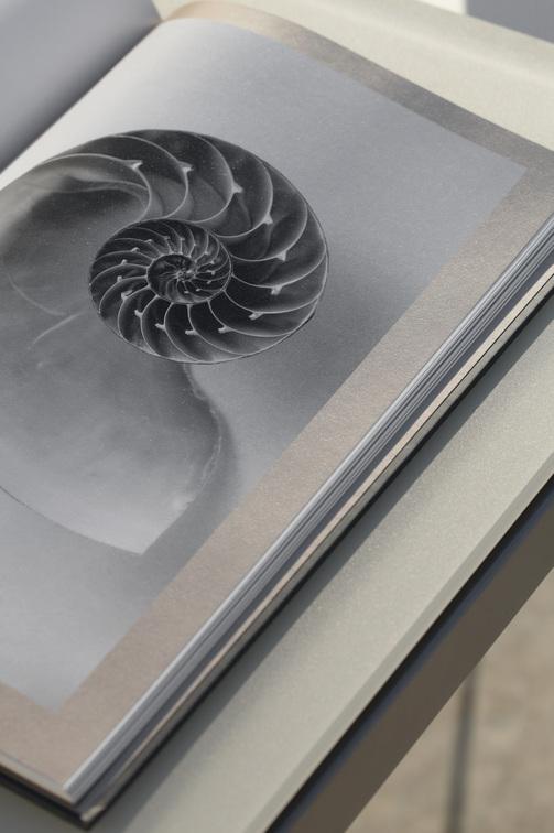 MNST1177 Обеденный стол pcsts white f8 90см x 90см Manutti Trento - Вид №8