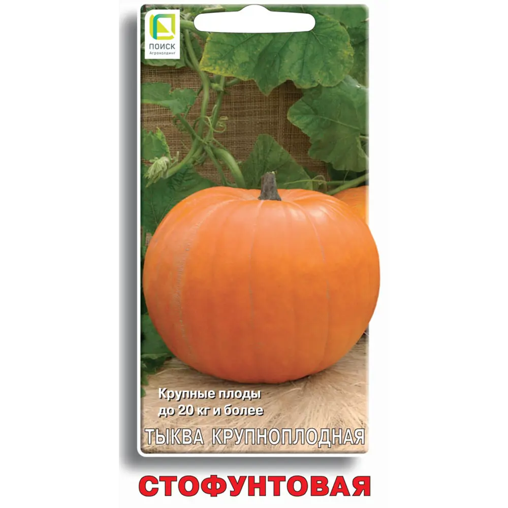 Семена овощей Поиск тыква крупноплодная Стофунтовая 89401081 STLM-2183138 
