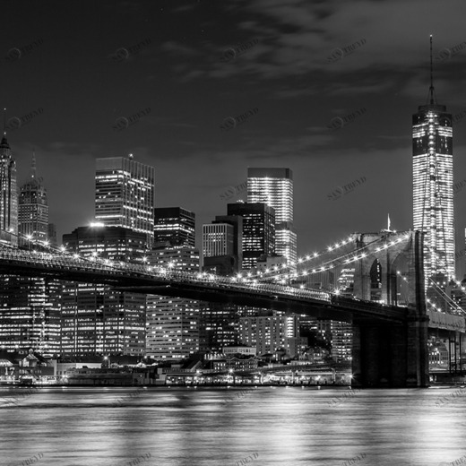 C1-160 Фотообои DIVINO Collection C 2.7х3 м C1160