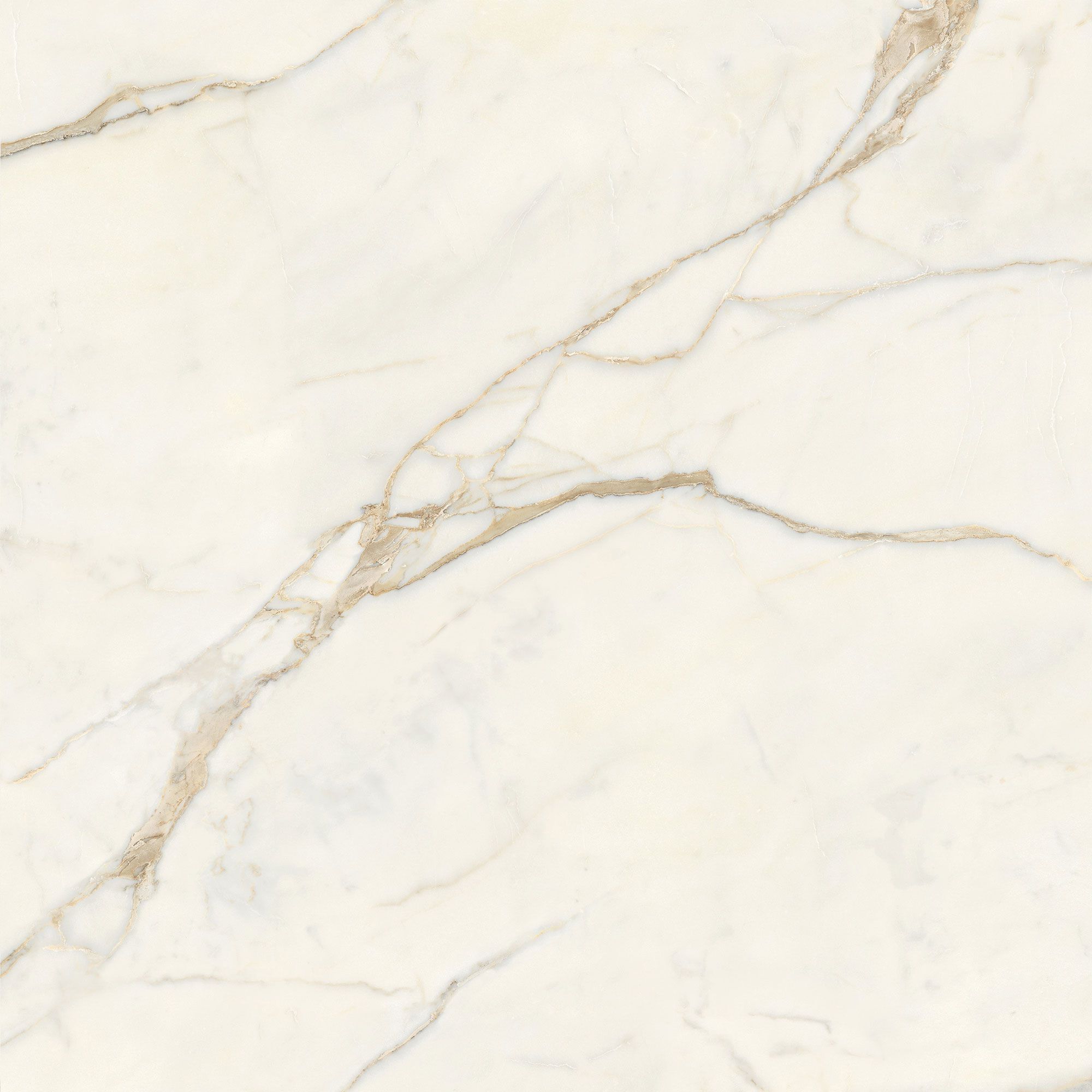 Пол / керамогранит с мраморным эффектом Italgraniti Marble Touch ARCH-00062183 - Вид №16
