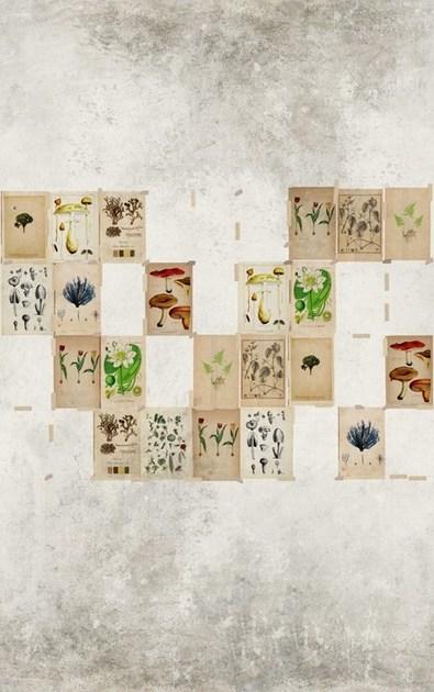 Wall&decò Виниловые обои Contemporary wallpaper 2014 sun-id-1396361 - Вид №2