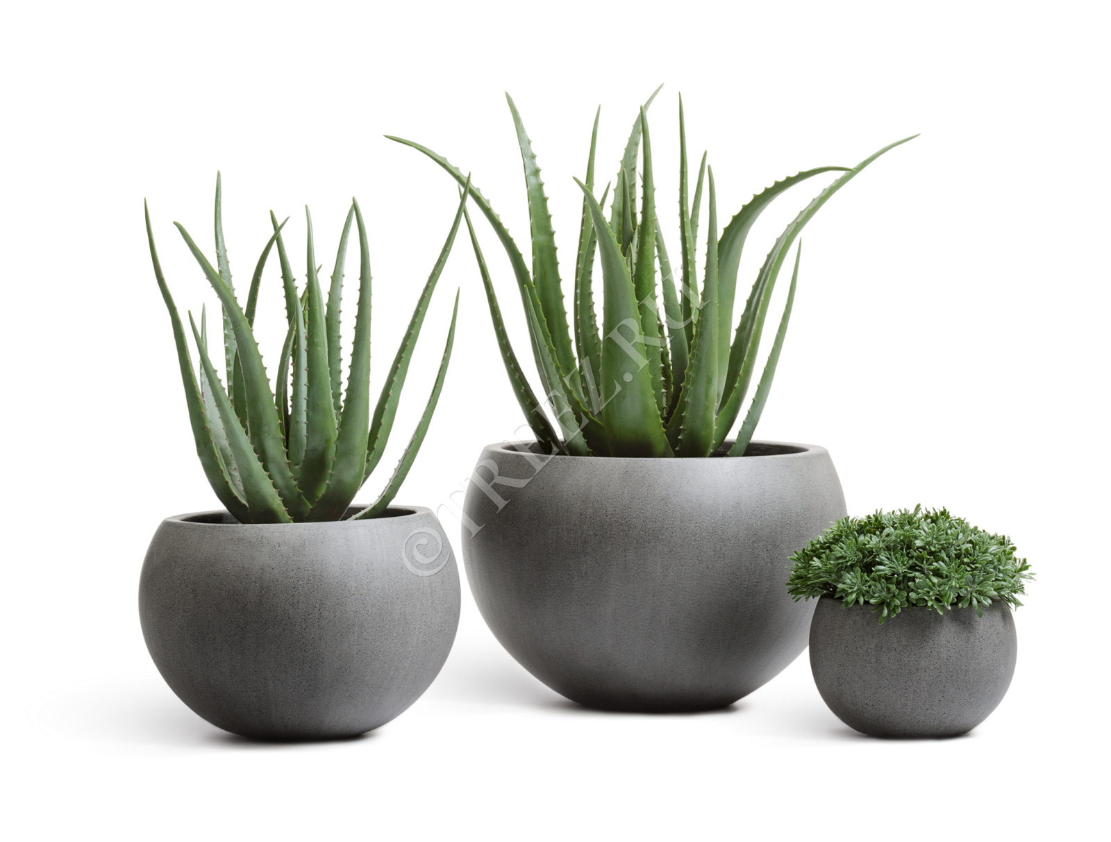 41.3318-02-018-GR-22 Кашпо  Effectory - серия Beton - Полусфера - Тёмно-серый бетон Цветочная коллекция  - Вид №5