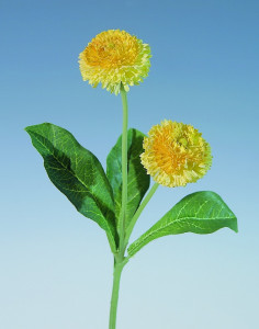 3172 330 a2 Шелк Беллис на палочке, 2 цветка, 26 см, желтый H-andreas