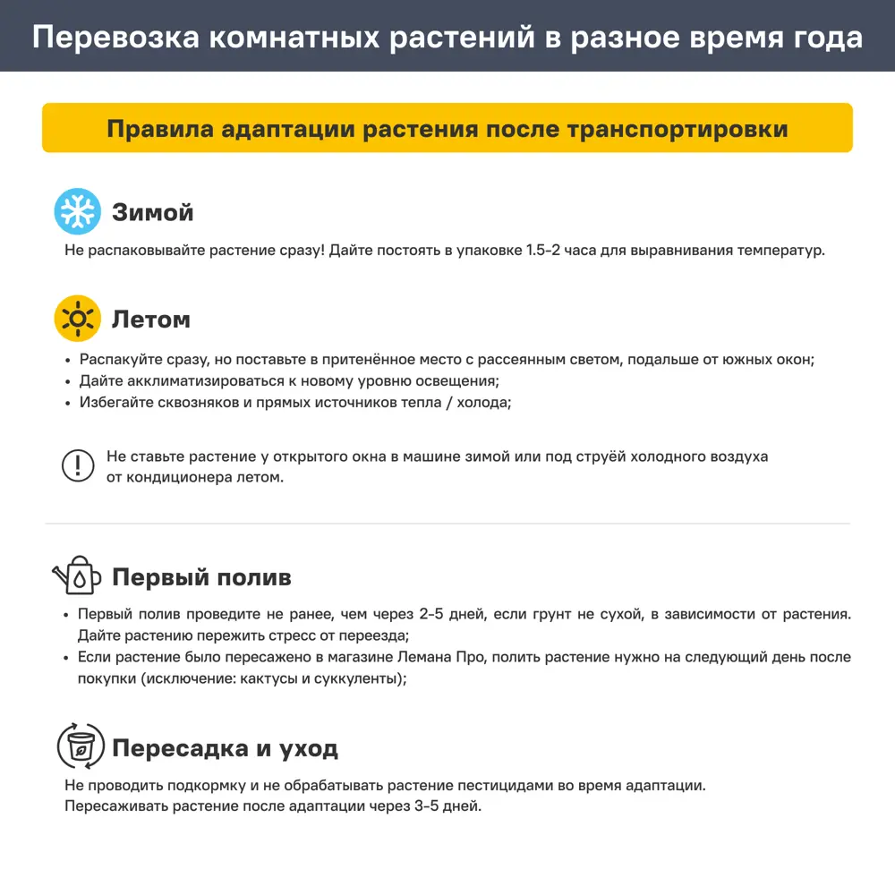 Кактус микс в плошке d30 h40 82580041 STLM-2026966 Santreyd  - Вид №2