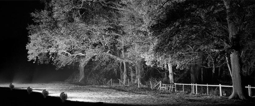 NEXO LUCE Регулируемый светодиодный проектор для улицы Projector nexo luce 2352 - Вид №1