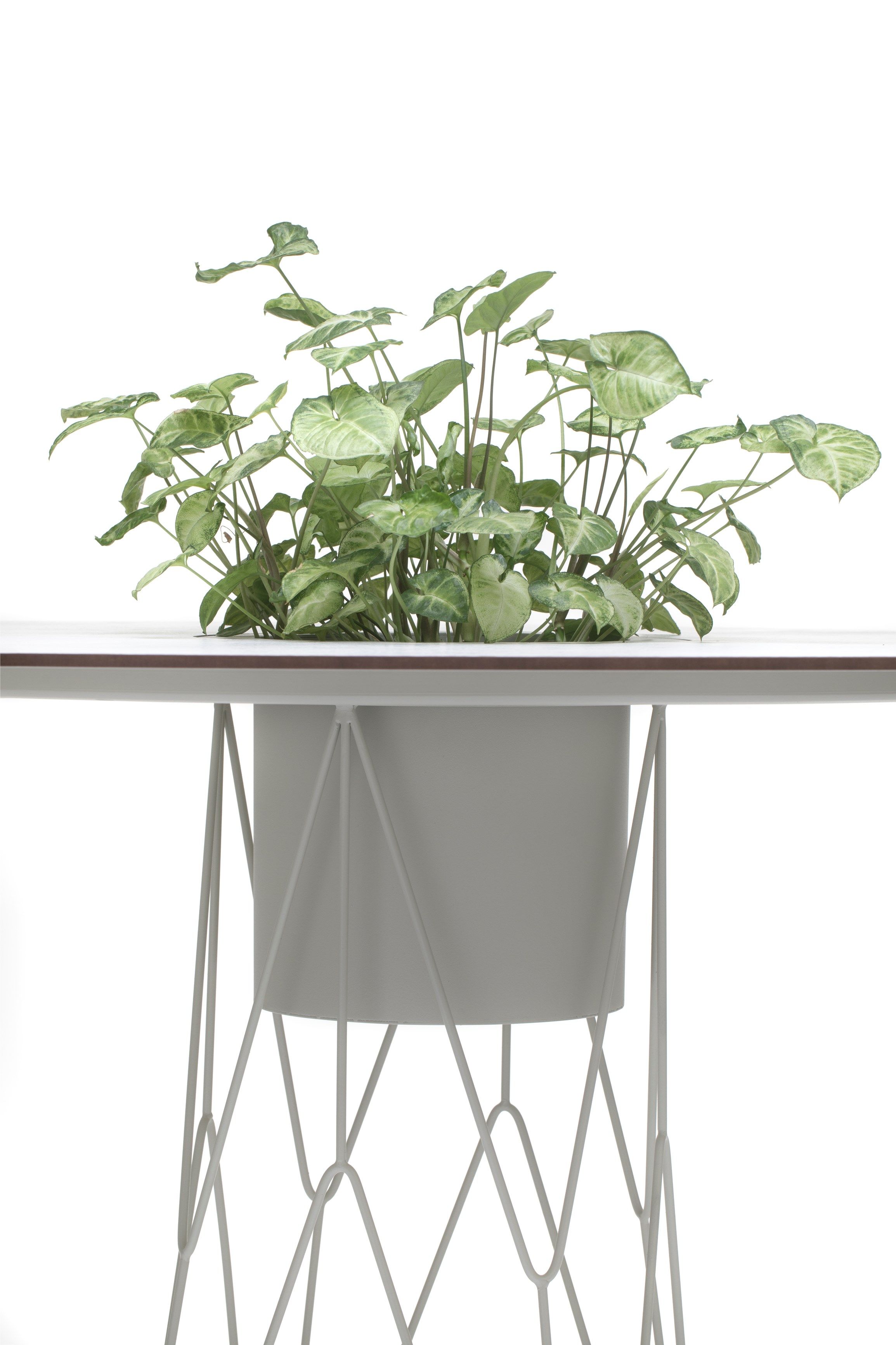 Круглый садовый стол Garda Furniture Ataman ARCH-00005260 - Вид №1