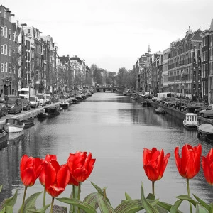 D1-090 Фотообои DIVINO Collection D 2.7х м