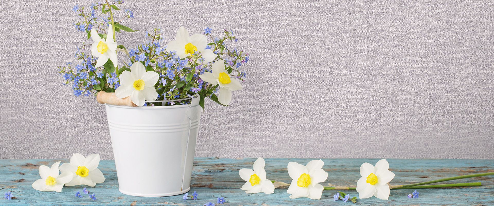 Victoria Stenova 88205 Фон NEZABUDKA 88205  - Вид №1