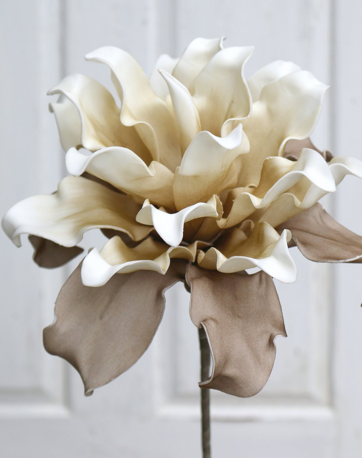 7898 776 a3 Искусственный протея мягкий цветок, 38 см, бежево-коричневый H-andreas  - Вид №2