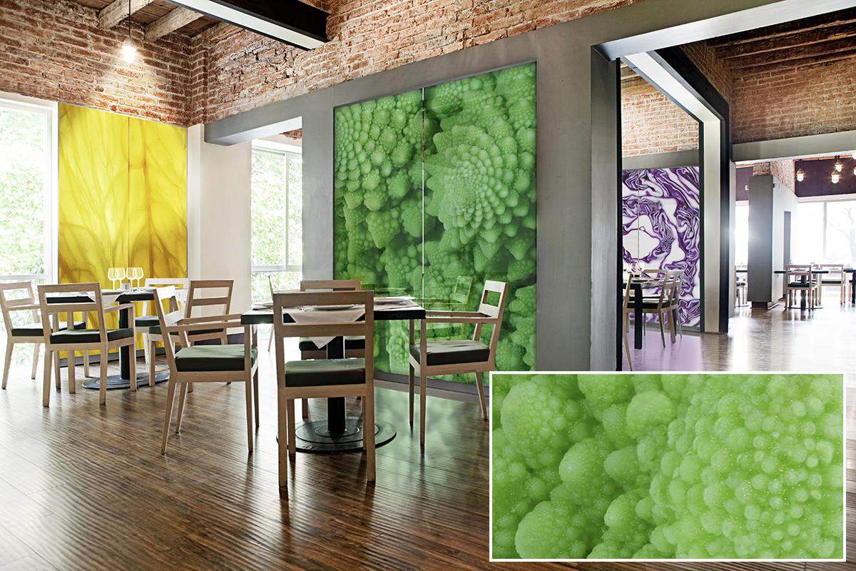 FSRT368 Зум-стекло Vivispectra с прослойкой из содалита Forms-surfaces  - Вид №12