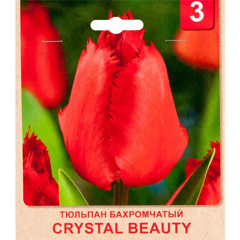 Тюльпан «Crystal Beauty» размер луковицы 10/11, 3 шт. 82365340 STLM-2066963 Santreyd 
