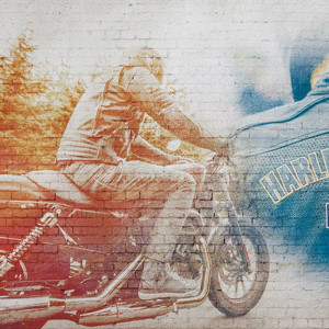 WP01098A Обои декоративные Adriani e Rossi