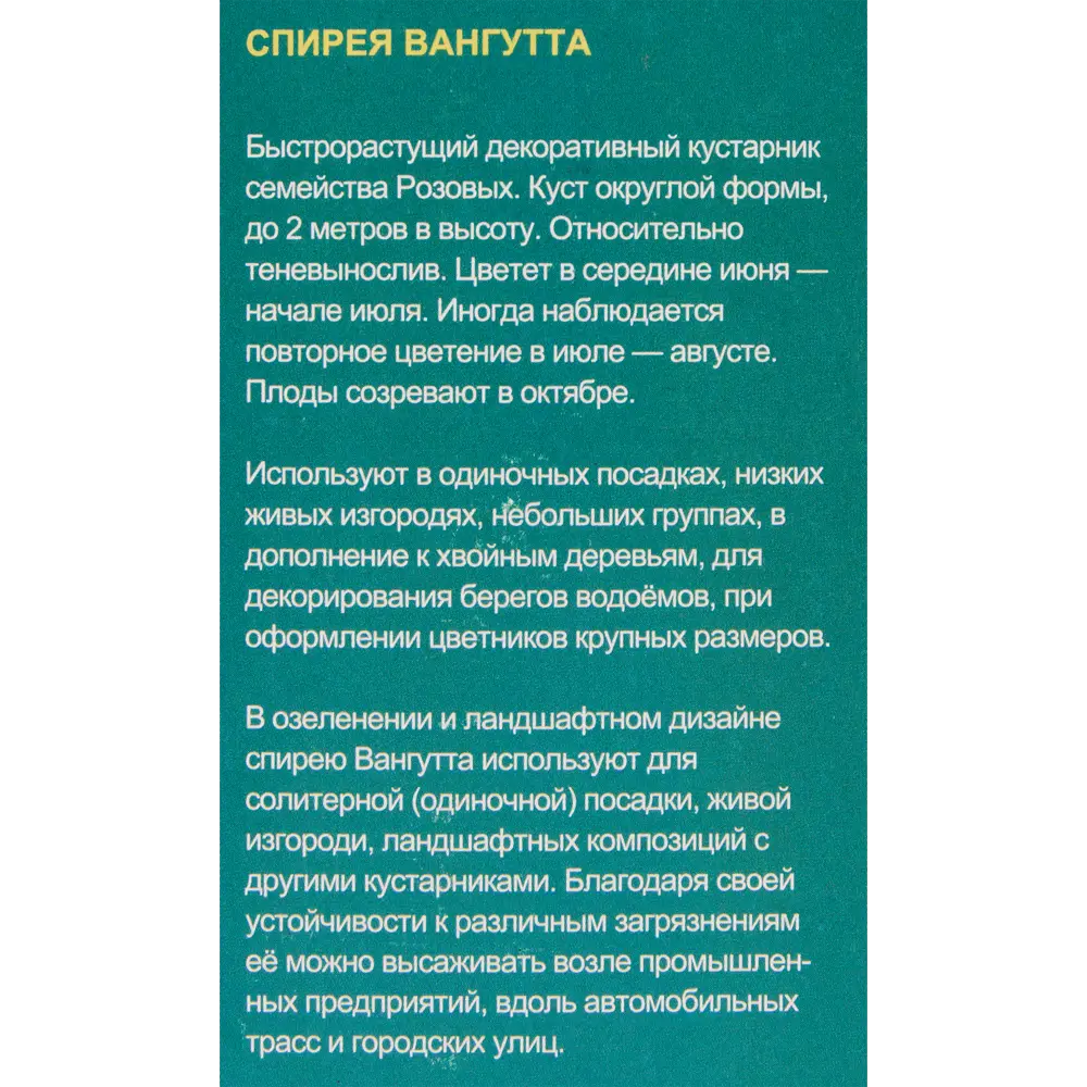 Саженцы декор-лиственные и цветущие в коробке h35 83970827 STLM-2053355 Santreyd  - Вид №2