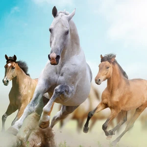 C2-079 Фотообои DIVINO Collection C 2.38х3 м