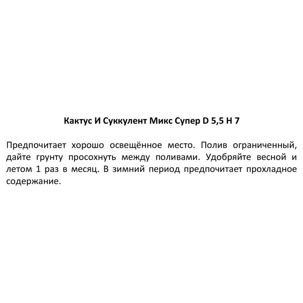 Santreyd Микс кактусов и суккулентов в горшке 88477121 STLM-0077751 - Вид №4
