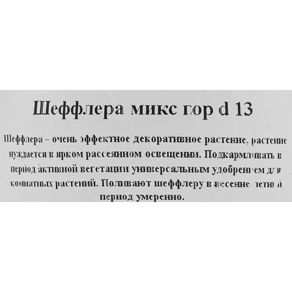 82560377 Шеффлера микс d13 h25 STLM-1390012 Santreyd  - Вид №2