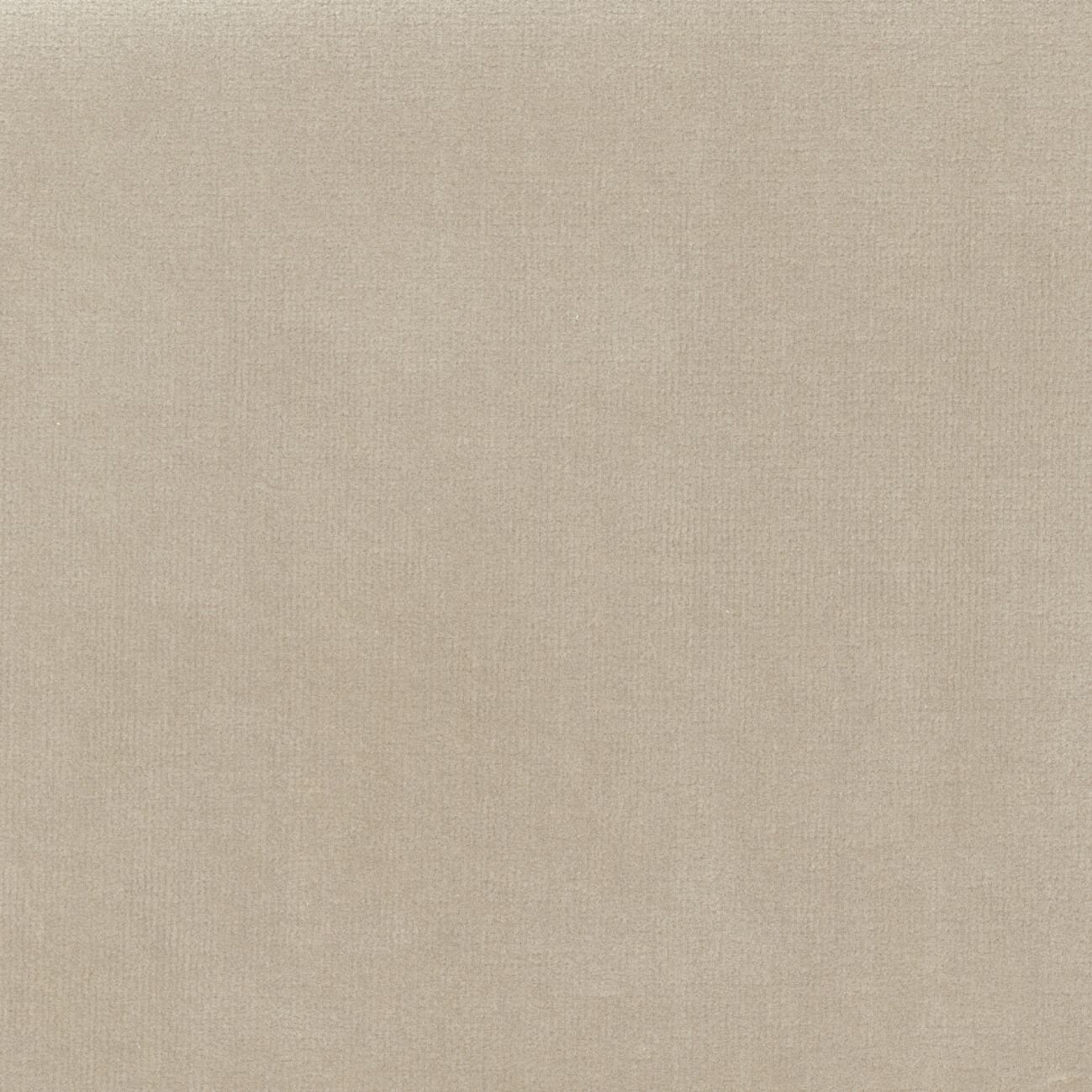 Бархатная однотонная ткань Élitis Palatine ARCH-00143253 - Вид №47