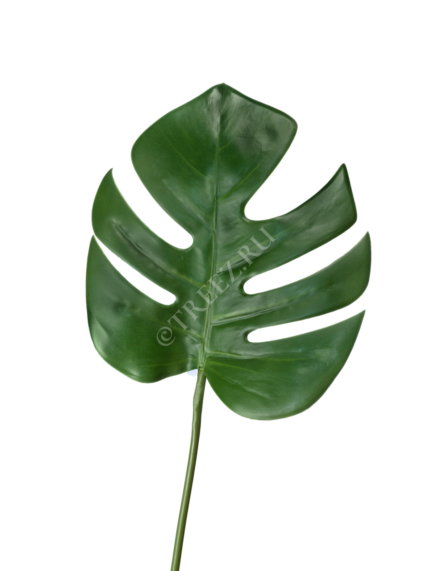 30.0614185 Лист Монстеры Цветочная коллекция 