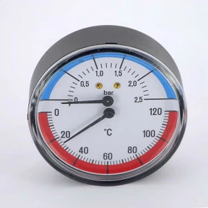 Термоманометр аксиальный F+R818 WATTS Ind 2,5бар 120 град.C