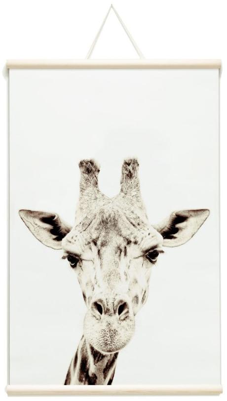 Groovy Magnets Магнитный плакат Animal Pos-62-gi - Вид №2