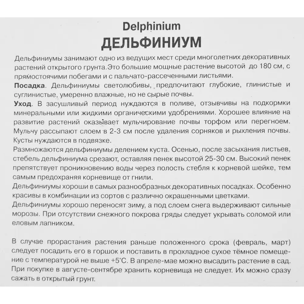 Дельфиниум высокий Моргентау 86410462 STLM-2015338 ПОИСК  - Вид №2