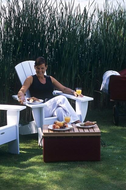 TRADEWINDS Садовый журнальный столик / переносной холодильник sun-id-1451399 - Вид №23