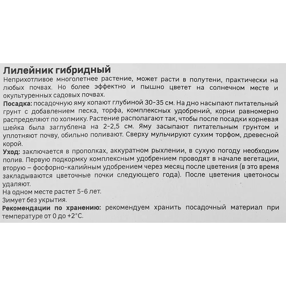Лилейник Geolia гибридный Матрешка 86408702 STLM-2057190  - Вид №3