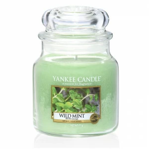 Свеча средняя в стеклянной банке "Дикая мята" 411 гр 65-90 часов YANKEE CANDLE  267962 Зеленый