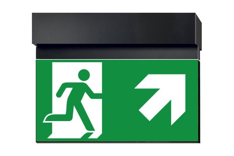 DST-1870 Ikus 2211-t Daisalux Светильники сигнальные Черный 