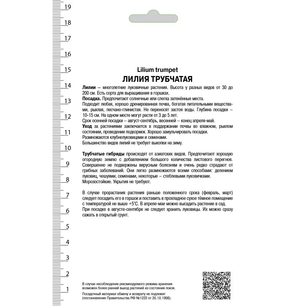 Лилия трубчатая «Пинк Перфекшн», высота 50 см, 1 шт. 82000198 STLM-2120813 Santreyd  - Вид №1