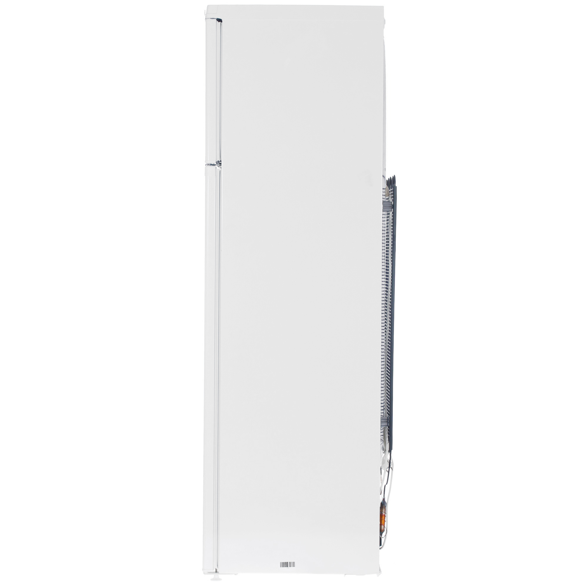 1229529 Холодильник с морозильником   DON R-236 B белый STDN-0086941 - Вид №2