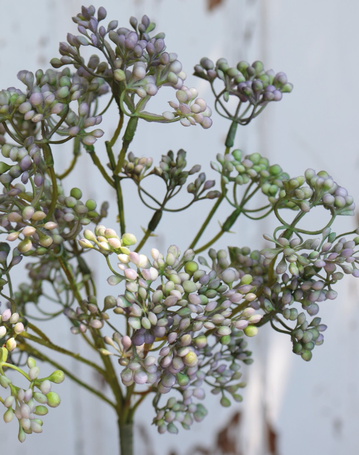 1924 802 a3 Стебель калины искусственный, 37 см, зелено-фиолетовый H-andreas  - Вид №3