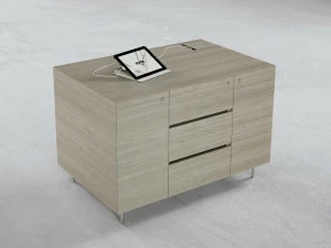 ESTEL GROUP Низкий офисный шкаф для хранения вещей с распашными дверцами Altagamma