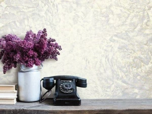 VALPAINT Декоративные краски светлых тонов Professionali