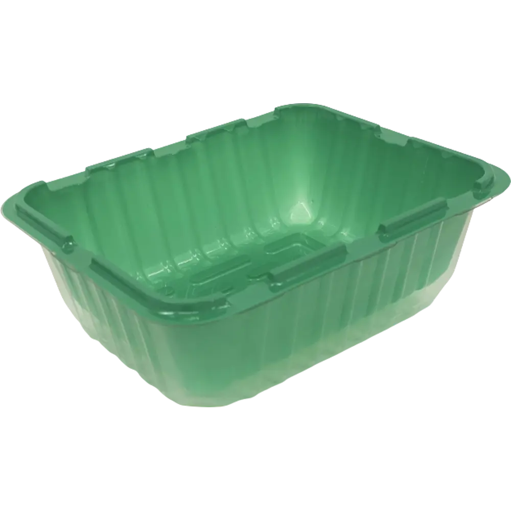 Мини-парник Santreyd для рассады с прозрачной крышкой 83387903 STLM-0040779 - Вид №1