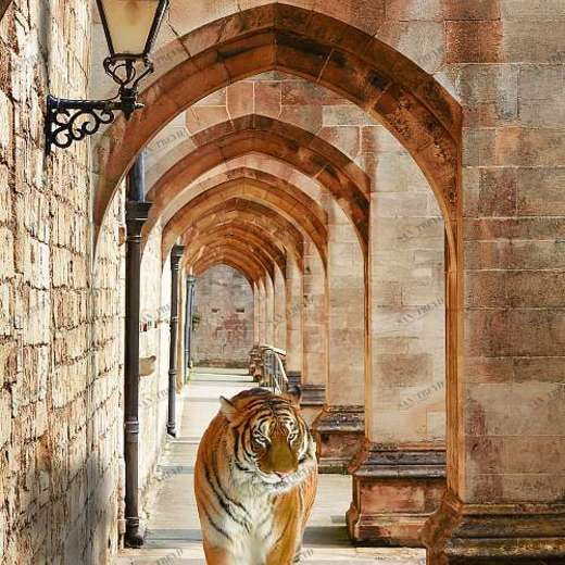 P-101 Фотообои DIVINO L&P 2х2.7 м P101