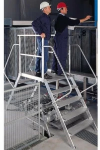 Frigerio Carpenterie Фиксированная мостовая лестница