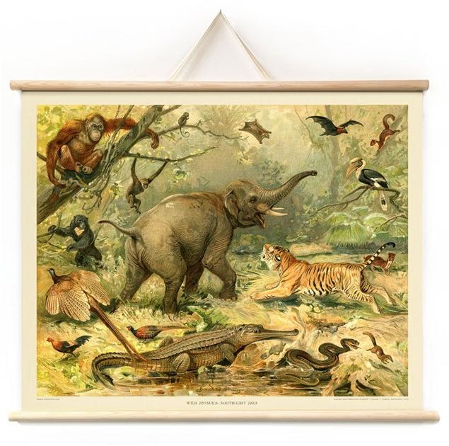 Groovy Magnets Магнитный плакат Animal Pos-ff - Вид №1