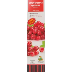 Смородина красная традиционная Щедрая 82529049 STLM-2146578