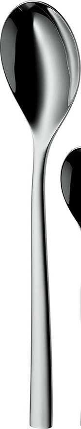 10619461 Набор столовых приборов Стальной WMF 