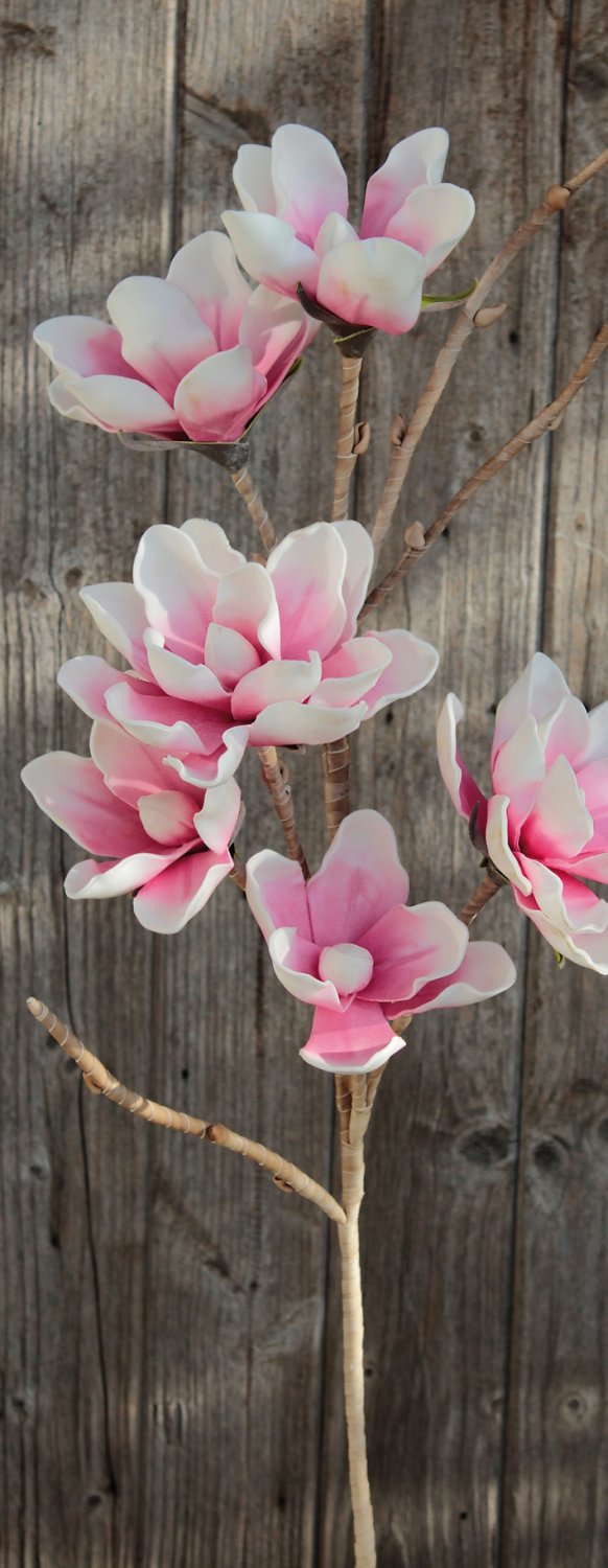 7985 507 a3 Искусственный мягкий цветок 'магнолия', 112 см, розово-белый H-andreas  - Вид №1