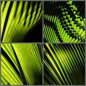 Фотокартина 80х80 см "Клавиши" PANKOVSKY STUDIO ПЛАСТИФИКАЦИЯ 015866 Зеленый;черный