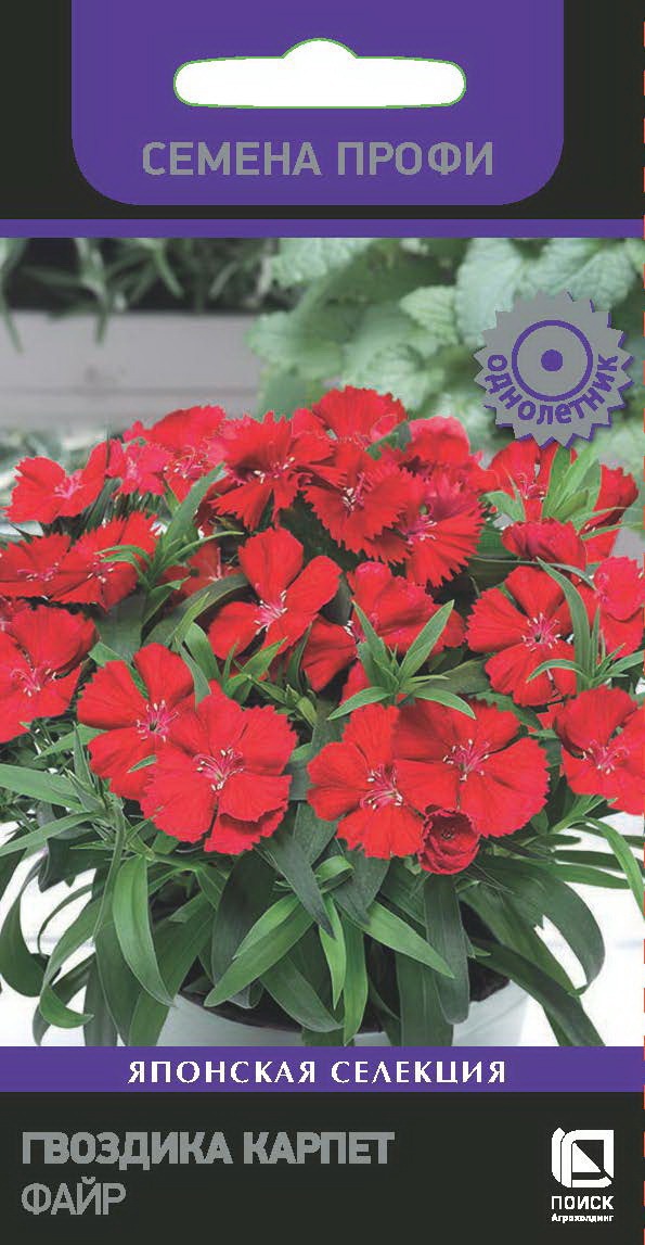 Семена гвоздики Карпет Файр красной 10 шт. Santreyd 86218063 STLM-0066969