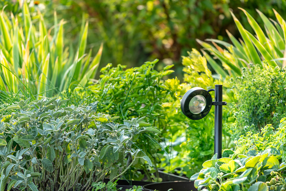 8800118 Проектор Platek FROG  FROG - 1 COB 3000K 102° - Вид №2