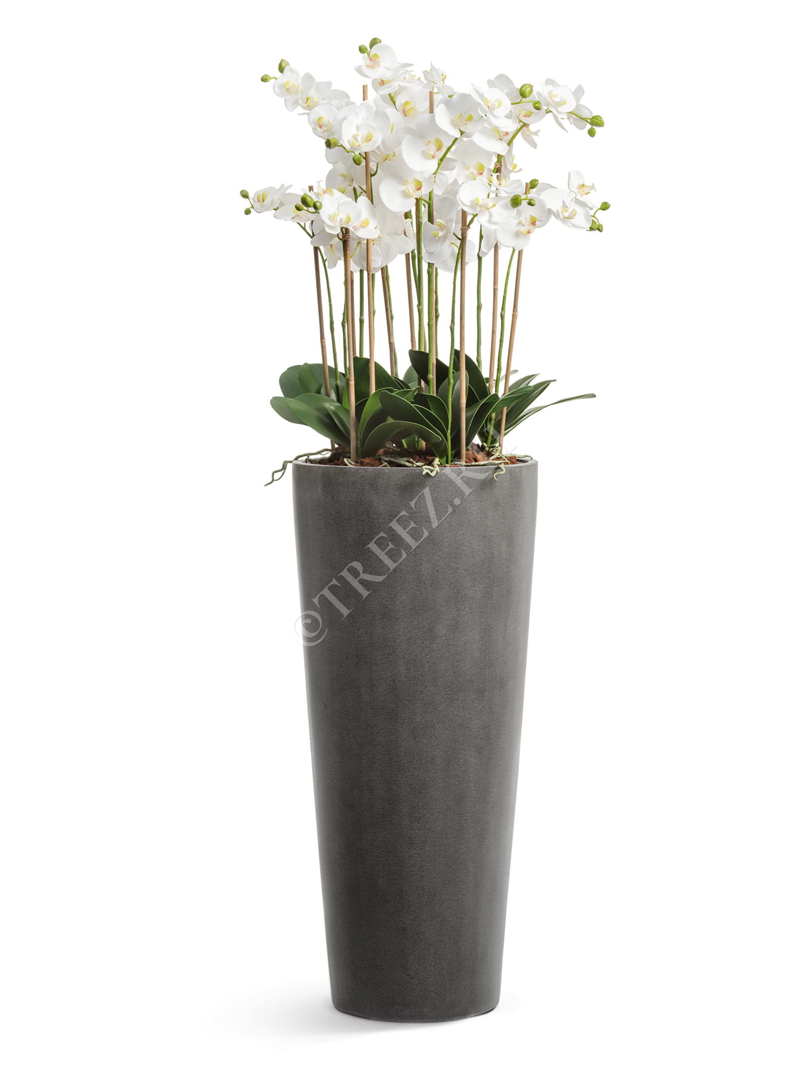 41.3319-02-020-GR-90 Кашпо  Effectory - серия Beton - Высокий конус - Тёмно-серый бетон Цветочная коллекция  - Вид №11