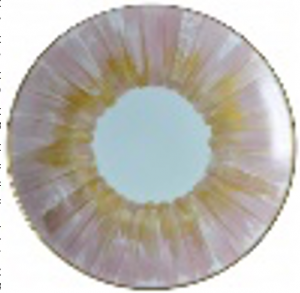 PAN_63-54_FOR_DIPJ Тарелка диаметр 26,5 см Н 3 см MARIE D'AAGE