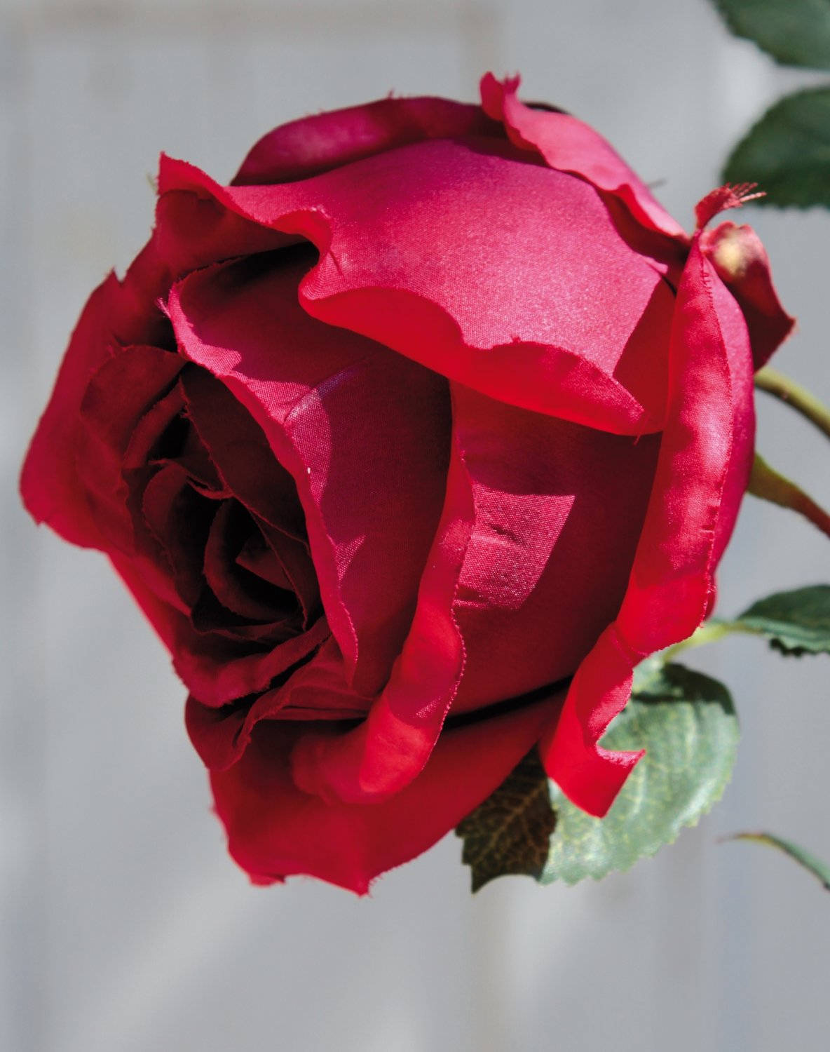 2683 444 a2 Искусственная роза, 1 цветок, 2 бутона, 49 см, красная H-andreas 