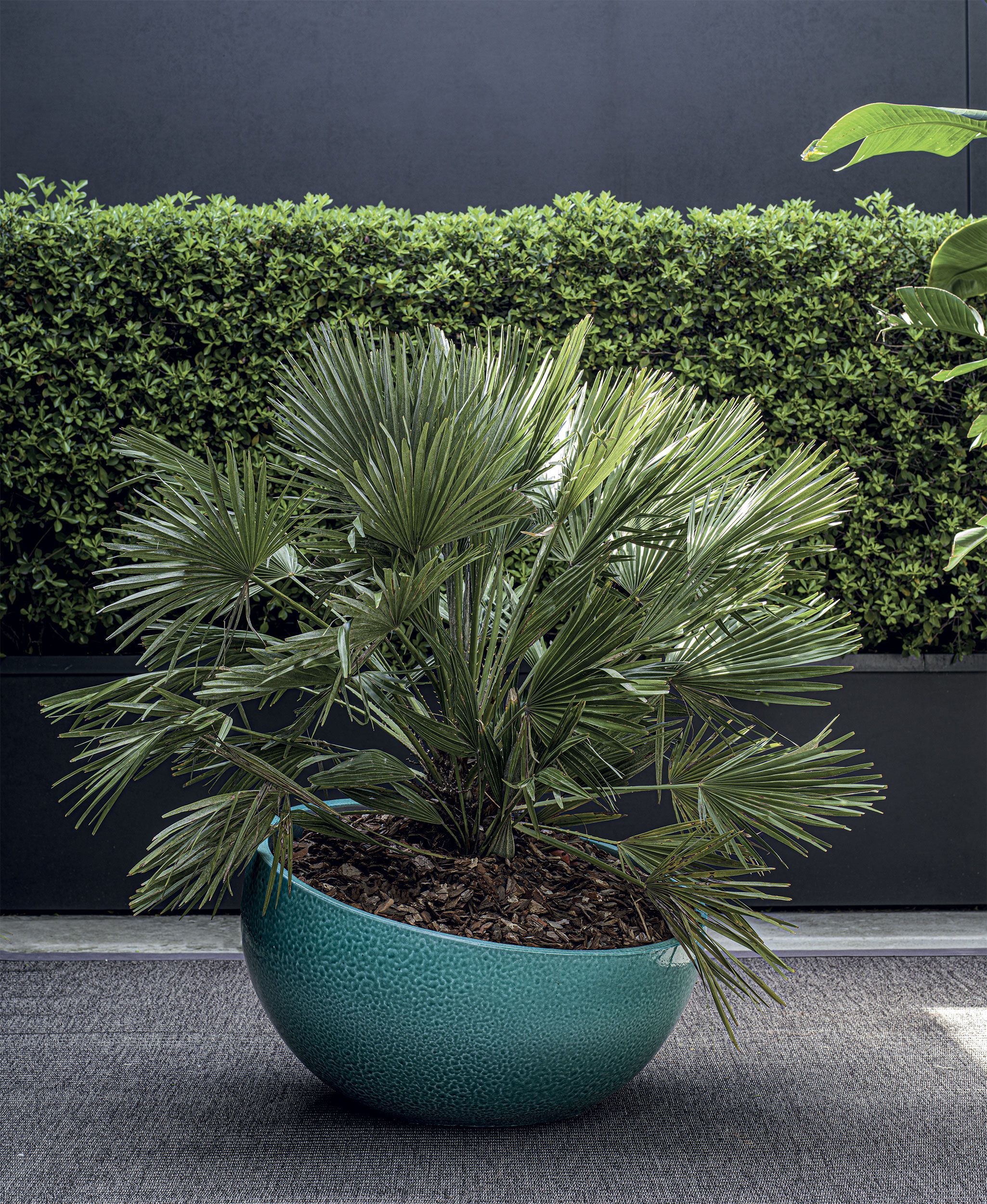 Керамический ручной работы высокий садовый горшок Longhi курорт ARCH-00138356 - Вид №4