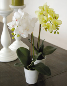 2610 788 a3 Пластиковая орхидея Phalaenopsis, горшечная, 33 см, real touch, бежево-зеленая H-andreas