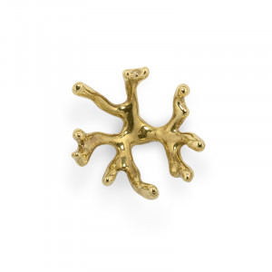 OC2006 Codium PULLCAST Ocean Collection